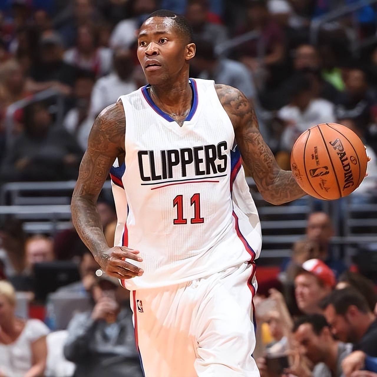 可能并不理 可能并不理